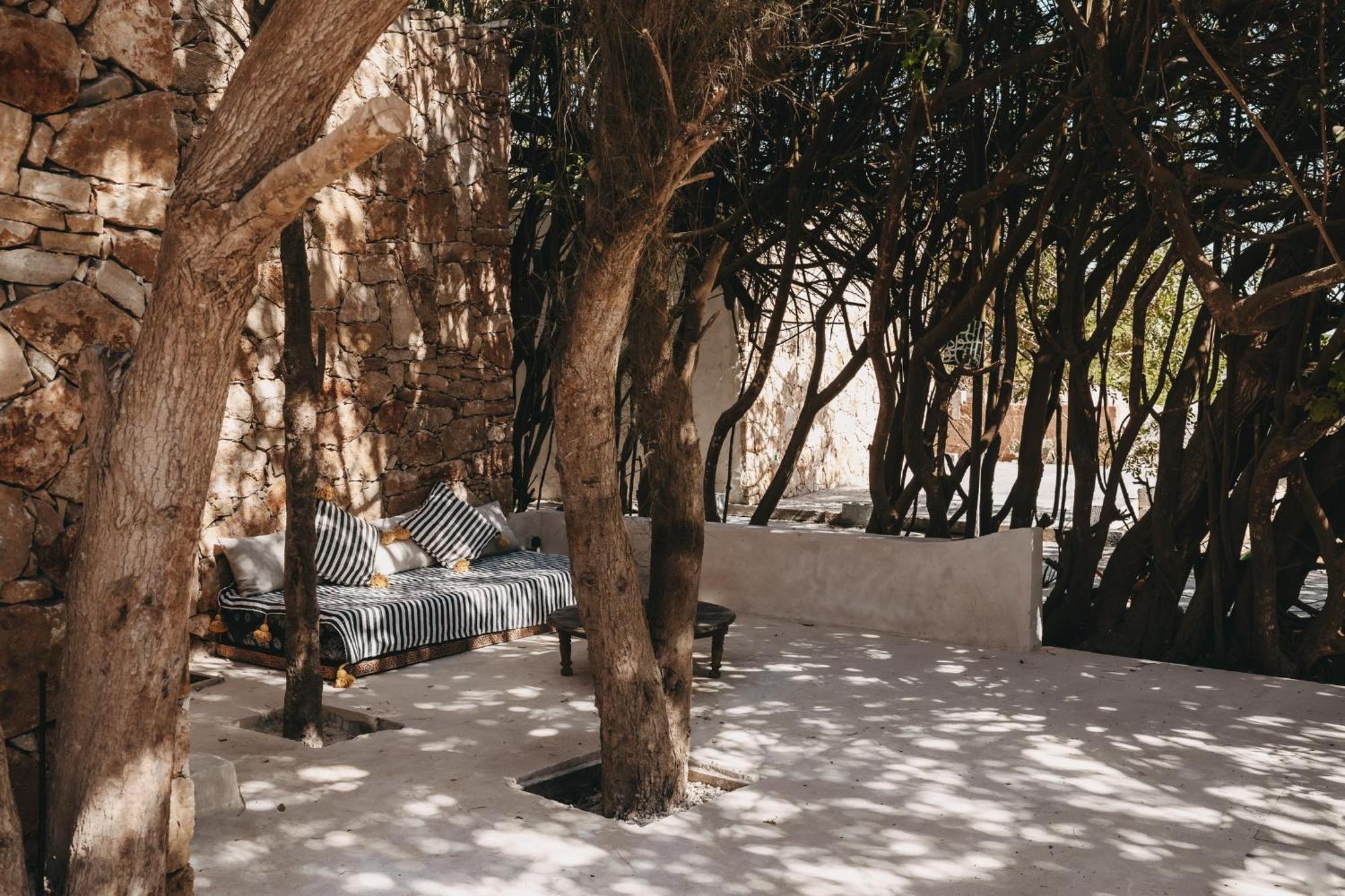 Surfiscamp Farm stay Dakhla